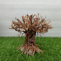 Moss tree finished fish tank landscaping sunken wood welcomes guests pine tree-shaped skeleton grass tank water plant water ficus landscaping tree Brazilian tree