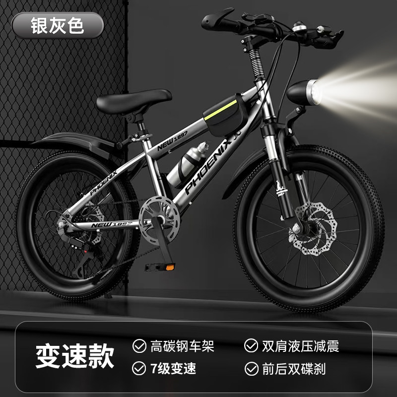 Велосипед детский Phoenix GT 20" серебристый, спицевые колеса, многоскоростной