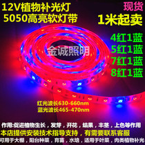 Low-voltage 12V5050 bright Plant Growth Light LED light strip nursery vegetable water flower fill light