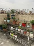 Цветочная стенда из нержавеющей стали Stepped Simple Landing Outdoor Hundoor Balcony можно удалить и собрать бассейны полимеризатора