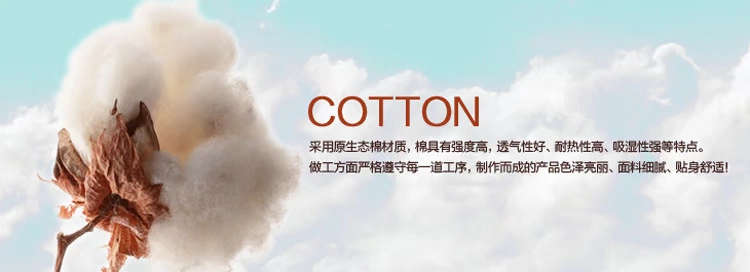 Sản phẩm mới huihui trung niên nữ cotton tam giác đồ lót cotton cao eo lỏng màu rắn 2 hộp quần lót nam