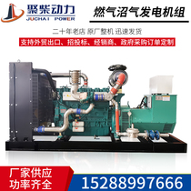 200kw biogas generator set 250KW breeding and cattle farm 300kW pipeline natural gas generator set