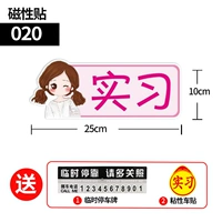 Магнитный мультипликационный патч (020) купить один получить один, получите два