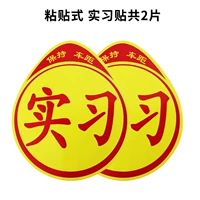 Тип B Стажировка