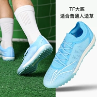 Луна белый синий tf-asts0017