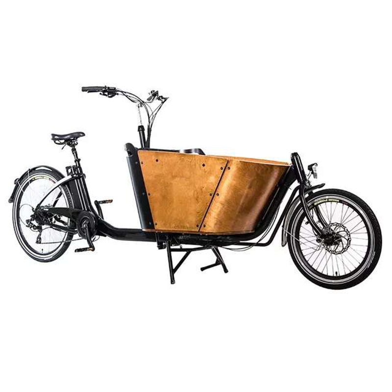 Cargobike European Vintage Bike Inverted Three Wheels Parent-Child Pet Cargo Takeaway Two Wheel Electric Sightseeing Car
