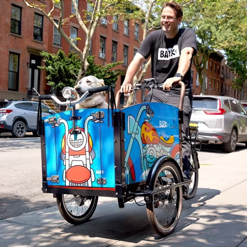 Грузовой велосипед скандинавской доставки велосипед