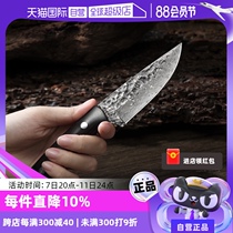 (Self-operated) Sanbonsheng Japanese Damascus fruit knife household portable outdoor knife melon and fruit knife stainless steel