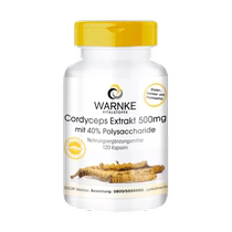 Wernke Aweto CS-4 Capsule Adenosine Polysaccharide Body Nourishing 120 Grain Official Positive