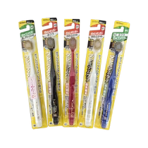 (Self-operated) Huibaishi soft-bristle toothbrush 48 holes wide head full-effect home decoration household men and women adult use Japan