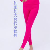 2021 autumn and winter ladies 240 Jin Modal Plus fat special size thin models without velvet warm autumn pants high waist stretch