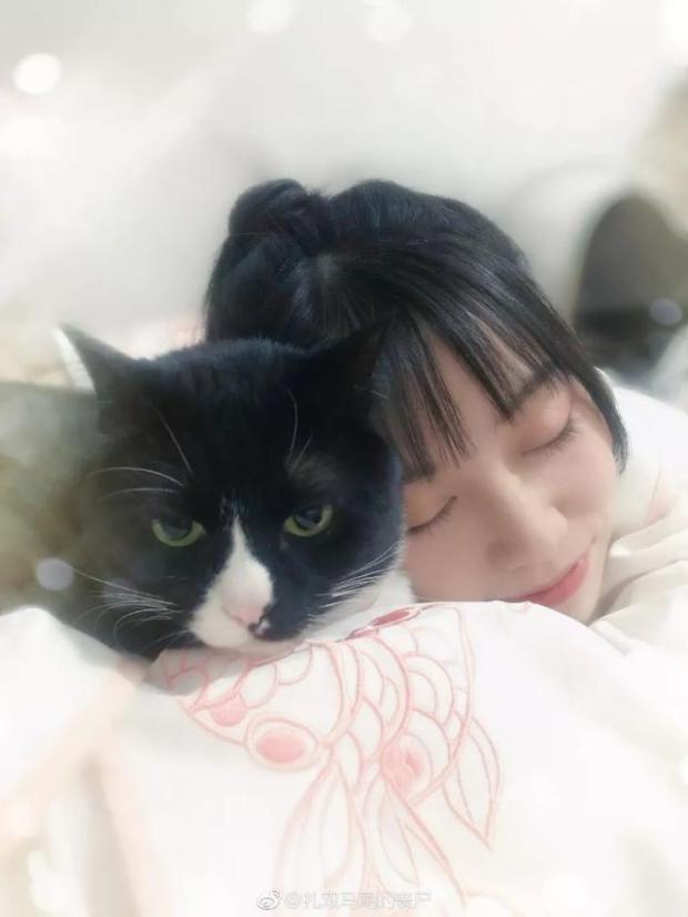 扎双马尾的丧尸(丧妹)