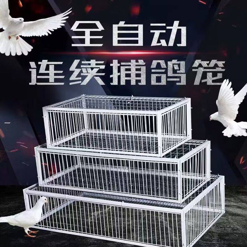 追忆鸽具的LOGO