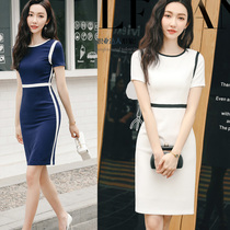 Business temperament goddess fan summer skirt temperament fashion thin high-end dress ol teacher work clothes female