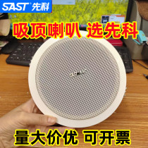 Xianke ceiling speaker constant pressure embedded coaxial ceiling outdoor waterproof sound column wall-mounted audio public address