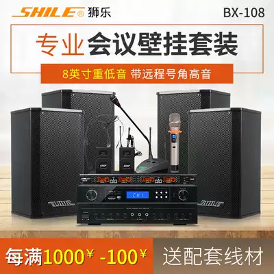 Lion Leo AV108 BX108 conference room audio combination set professional power amplifier wall-mounted speaker wireless microphone
