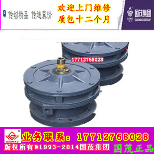 Guomao Reducer Jiangsu Guomao Reducer Co., Ltd. BLD4-43-Y4-6P