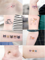 ins wind tattoo patch girl heart persistent color tattoo patch cat dog animal collarbone waterproof wrist Korean card
