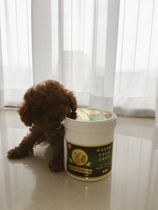 亿发起幼儿狗狗 猫咪营养奶粉240克五送一   十送三