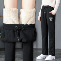 Pure cotton lamb velvet sports pants plus suede thickened warm cotton pants female embroidered elastic straight cylinder pants loose long pants