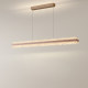 Modern Minimalist Light Luxury Restaurant Chandelier Italian Minimalist Designer High-End Dining Table Bar Counter Linear Lighting Fixture