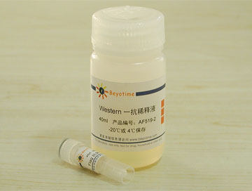 Beyotime Flag antibody (mouse monoclonal antibody) AF519 scientific research reagent