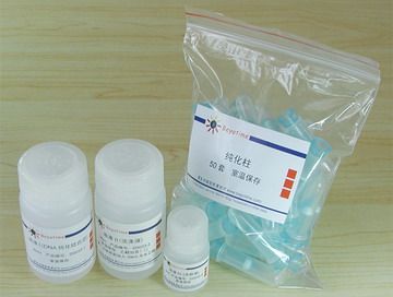 Biyuntian PCR purification kit DNA purification kit D0033 50 times