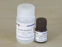 Biyuntian firefly luciferase reporter gene detection kit RG005 100 times