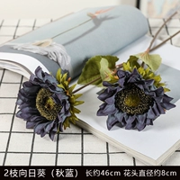 2 CHIQIU Blue Sunglower