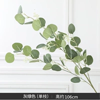 Серый зеленый