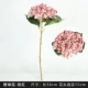 玫红绣球/大号