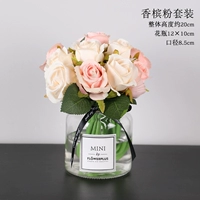 Розовый шампанский розовый костюм (Отправить ваза)