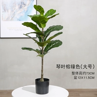 Qinye Banyan Green