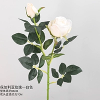 Белые отдельные ветви