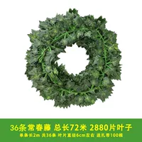 36 80 Ye Changchun Vines [Band]