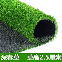 2,5 см высотой пружинной травы [50 квадратных метров]