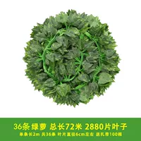 36 80 листьев листьев зеленых листьев [ремень доставки]