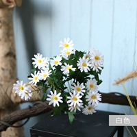 Белый цветочный луч