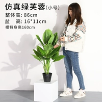 86 см Зеленый гибискус