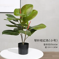 Qinye rong красная труба