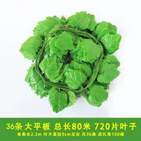 36 20 листьев больших виноградных листьев [Отправить полосу]