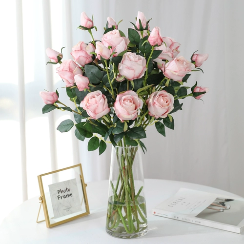 姞鍒 澶嶅 ╀ 淇 筜浠 湡鐜  懓鑺 懓鑺 潫瀹 潫瀹 ㈠ 巺瑁 骞 骞 姳 姳 姳 姳 ㈣ 鎻掕 姳 鎽 嗕 鑺 鑺