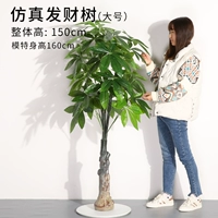 1,5 метра, чтобы сделать дерево удачи