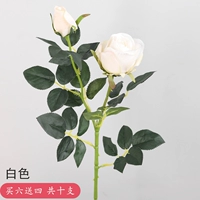 Белый (купить 6 получите 6 получите 4 всего) в общей сложности)