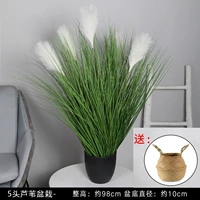 5 Head 95cm Reeds [Отправить плитую корзину]