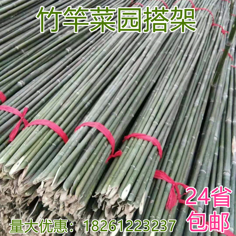 Bamboo pole garden with new fence fence fence fence fence fence bamboo bracket 2 meter chess rod bean corner cucumber climbed the vine rack