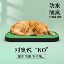 Giant little cute BeauGo dog mat thickened waterproof removable pet medium large dog memory cotton nest sleeping supplies