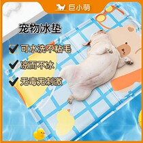Pet Pooch Ice Mat Dog mat Mat Mat Mat Dog Nest Cat Summer Cool Mat Sleeping Mat Cool Summer