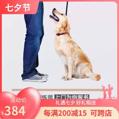 Giant little Meng training dog Pet trainer one-on-one on-line remote guidance dog training Beijing Shanghai Chengdu Chongqing