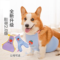 Giant Small Cute Dogs Anti-Dirty Belly Hood Kirky Short Leg Dog Special Raincoat Rain Cape Small Body Dog Summer Waterproof Clothes